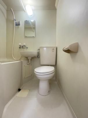 �y���̑��z�@�g�C��