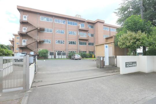  qsacwZ:185m