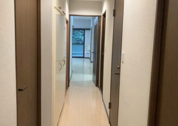 ���̑����� -