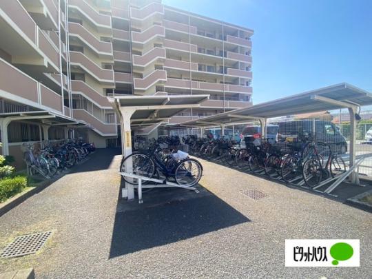  ���̑����L����