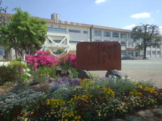  �����q�s����㏬�w�Z:665m