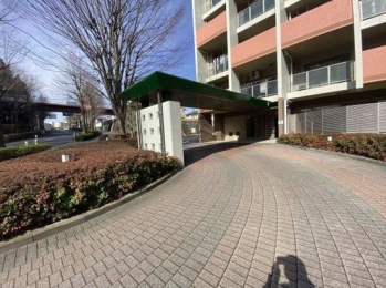 ���̑����p�� -