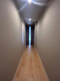 ���̑����� -