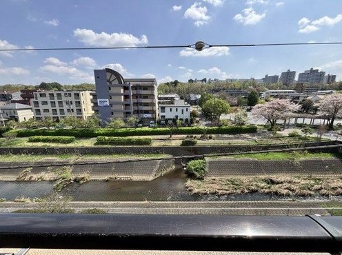 �Z�˂���̒��]�ʐ^ -