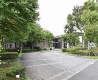 ���̑����n -