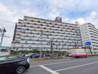 ���n�O�ώʐ^ -