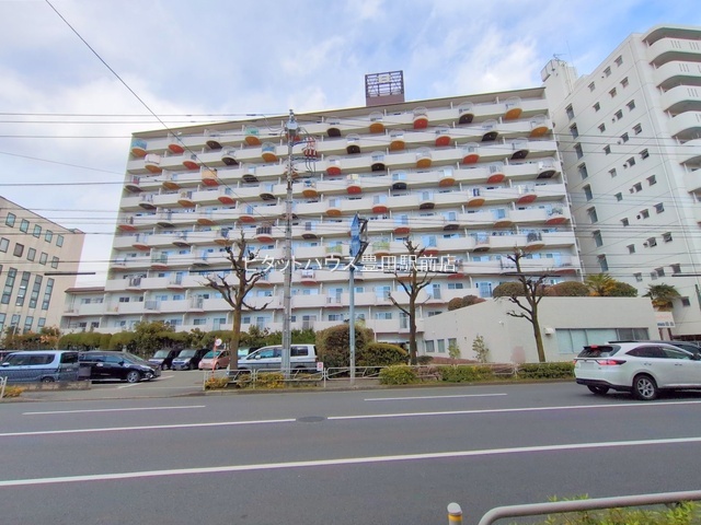 ���n�O�ώʐ^ -