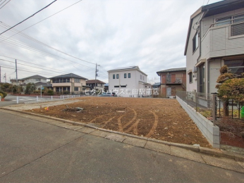 ���n�y�n�ʐ^ -