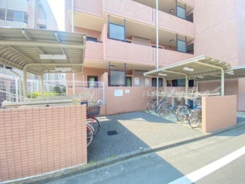  ���̑����L����