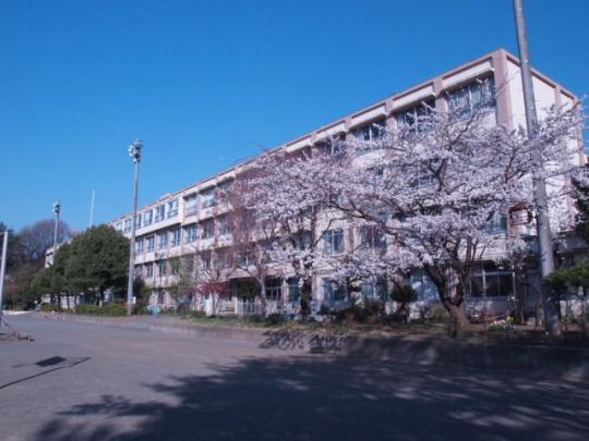  �����q�s���D�c���w�Z:1712m