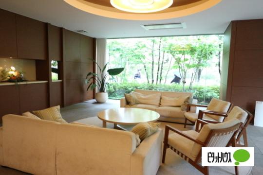  ���̑����L����