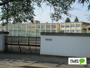  ����s�������񒆊w�Z:454m