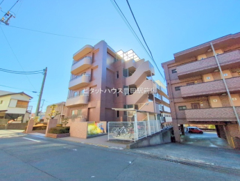 ���̑����p�� -