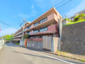 ���n�O�ώʐ^ -